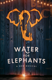 Water For Elephants poster
